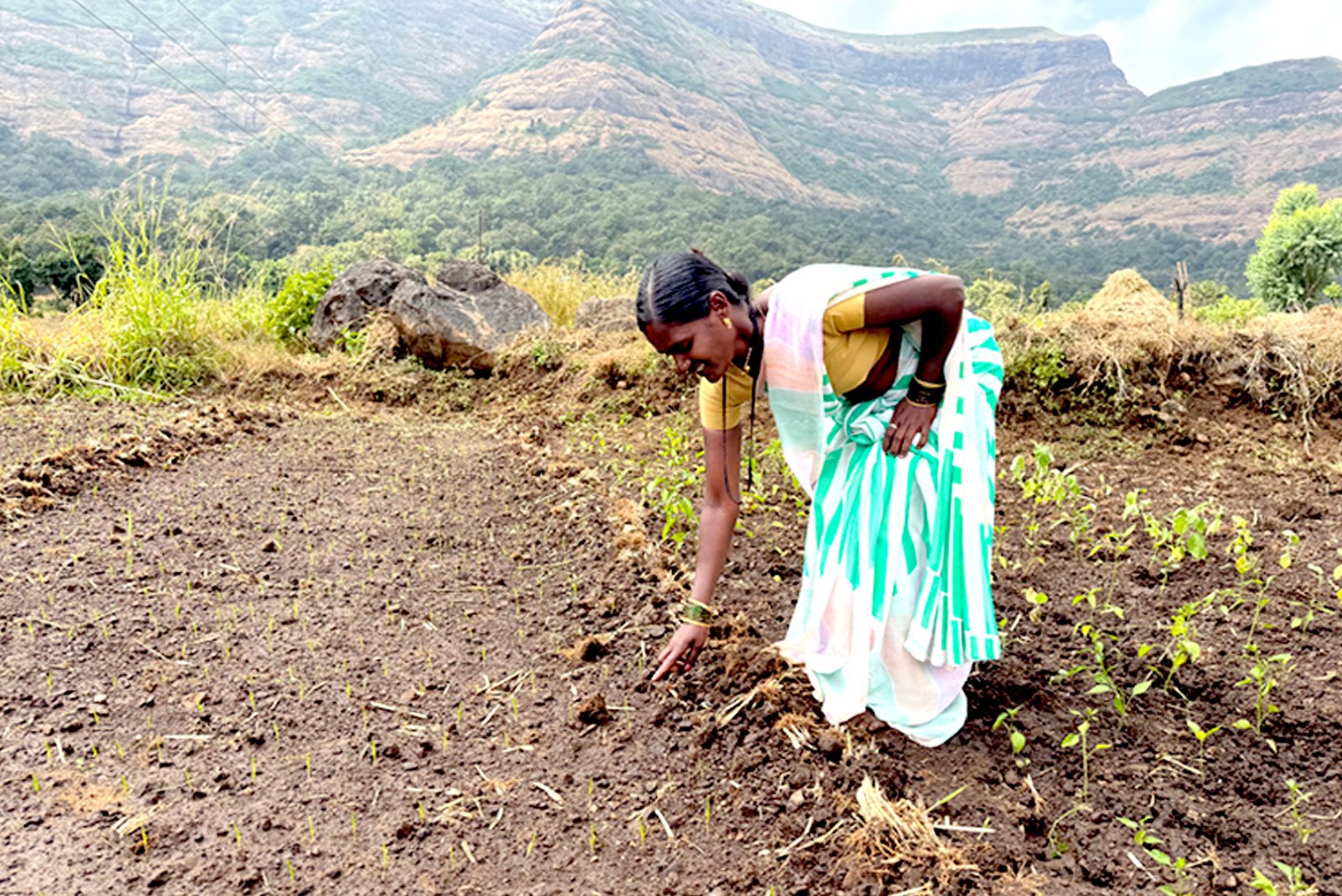 Women Volunteers and Sustainability